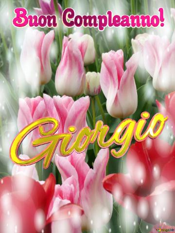 Buon Compleanno! Giorgio  La bellezza dei tulipani è solo una piccola parte della bellezza della vita, goditi ogni istante.