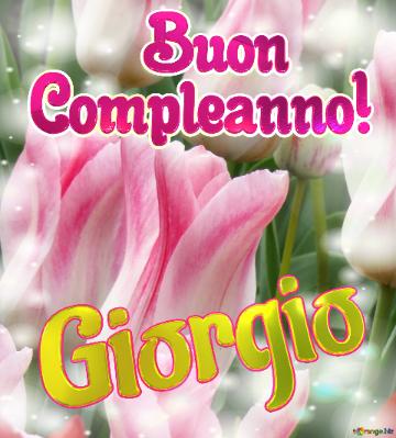       Buon  Compleanno! Giorgio  La Bellezza Dei Tulipani è Un Richiamo Alla Semplicità Della...