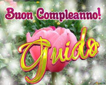 Buon Compleanno! Guido 