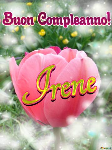 Buon Compleanno! Irene  Il Tulipano è Un Simbolo Di Perfezione, Auguri Per Una Vita Perfetta.