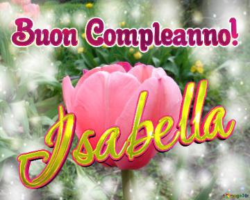 Buon Compleanno! Isabella  Questi Tulipani Ti Portano La Bellezza E La Felicità Della Vita, Goditi ...