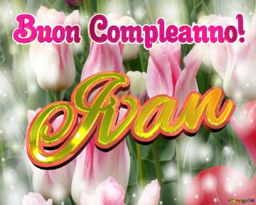 Buon Compleanno! Ivan  Questi Tulipani Ti Portano L`energia Della Vita E La Bellezza Della Natura.