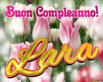 Buon Compleanno! Lara  Questi Tulipani Ti Portano L`energia Della Vita E La Bellezza Della Natura.