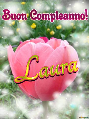 Buon Compleanno! Laura  Il Tulipano è Un Simbolo Di Perfezione, Auguri Per Una Vita Perfetta.