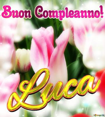 Buon Compleanno! Luca  Il Tulipano è Un Simbolo Di Fortuna, Auguri Per Una Vita Fortunata.