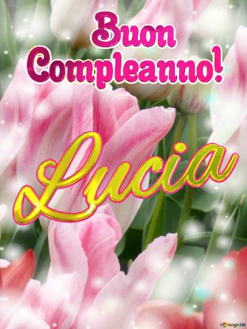       Buon  Compleanno! Lucia 