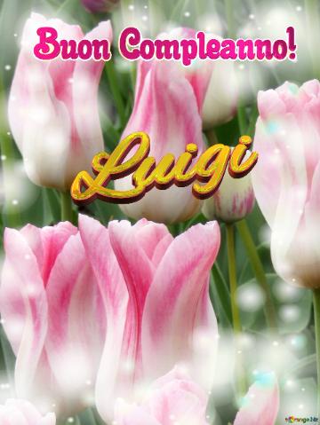 Buon Compleanno! Luigi  Che Questi Tulipani Ti Portino L`amore E La Pace Nel Tuo Cuore.