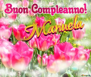 Buon Compleanno! Manuela  La Bellezza Dei Tulipani è Un Richiamo Alla Bellezza Della Vita, Auguri...