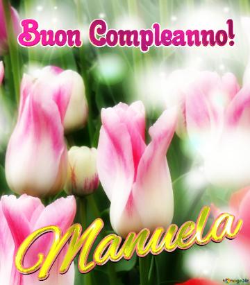 Buon Compleanno! Manuela  Questi Tulipani Ti Portano La Speranza Per Un Futuro Pieno Di Successi E...