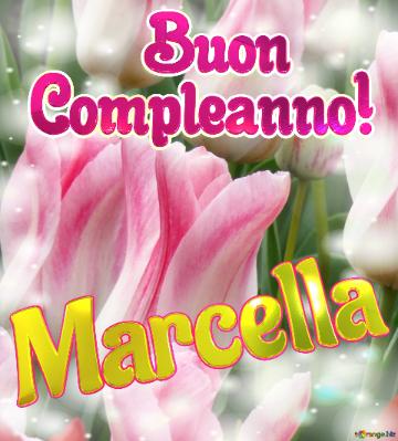       Buon  Compleanno! Marcella 