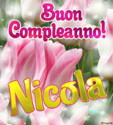       Buon  Compleanno! Nicola 