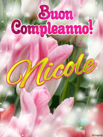       Buon  Compleanno! Nicole  Buona Primavera, Che Questi Tulipani Ti Portino La Speranza E La...