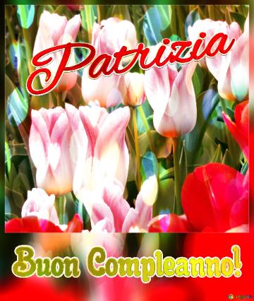 Buon Compleanno! Patrizia  Che questi tulipani ti portino serenità e pace nel tuo cuore.