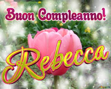 Buon Compleanno! Rebecca  Questi Tulipani Ti Portano La Bellezza E La Felicità Della Vita, Goditi...