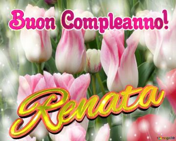 Buon Compleanno! Renata  Questi Tulipani Ti Portano L`energia Della Vita E La Bellezza Della Natura.
