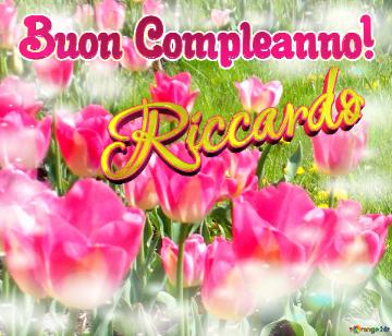 Buon Compleanno! Riccardo  La bellezza dei tulipani è un richiamo alla bellezza della vita, auguri per una vita piena di bellezza.