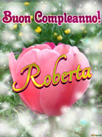 Buon Compleanno! Roberta  Il tulipano è un simbolo di perfezione, auguri per una vita perfetta.