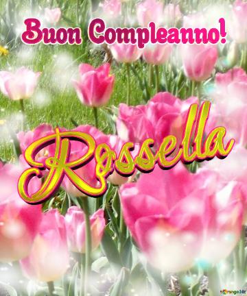Buon Compleanno! Rossella  Che Questi Tulipani Ti Portino La Gioia E La Felicità Che Hai Sempre...
