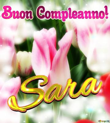 Buon Compleanno! Sara  Il Tulipano è Un Simbolo Di Fortuna, Auguri Per Una Vita Fortunata.