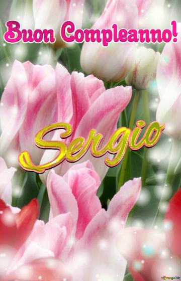 Buon Compleanno! Sergio  La Bellezza Dei Tulipani è Un Richiamo Alla Purezza Della Vita, Auguri...