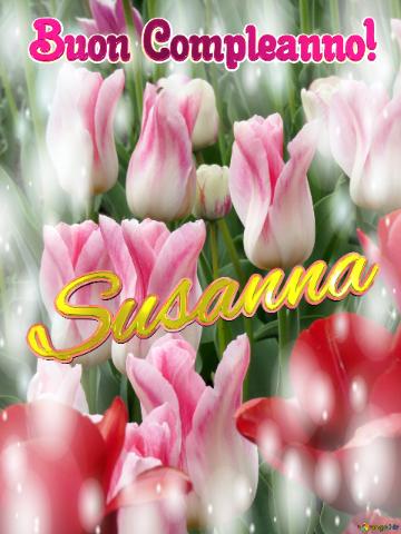 Buon Compleanno! Susanna  La Bellezza Dei Tulipani è Solo Una Piccola Parte Della Bellezza Della...