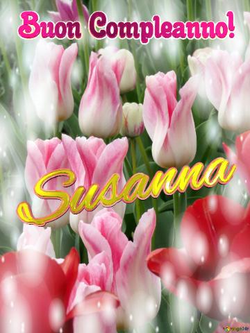 Buon Compleanno! Susanna  La bellezza dei tulipani è solo una piccola parte della bellezza della vita, goditi ogni istante.