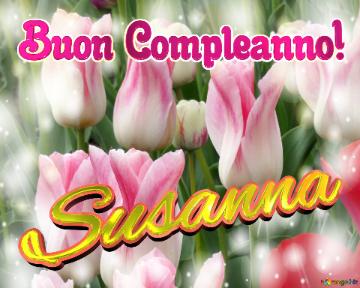 Buon Compleanno! Susanna  Questi Tulipani Ti Portano L`energia Della Vita E La Bellezza Della...