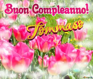 Buon Compleanno! Tommaso  La Bellezza Dei Tulipani è Un Richiamo Alla Bellezza Della Vita, Auguri...