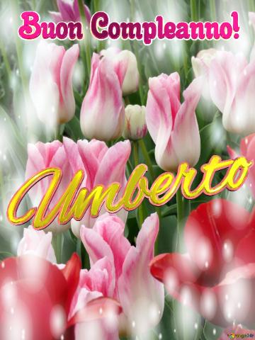 Buon Compleanno! Umberto 