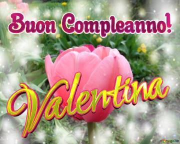 Buon Compleanno! Valentina 