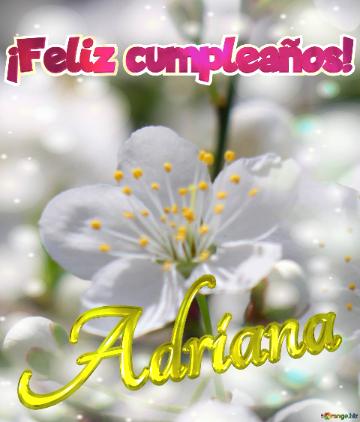 ¡Feliz cumpleaños! Adriana 
