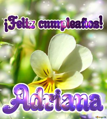 ¡feliz Cumpleaños! Adriana  Sinfonía De Flores