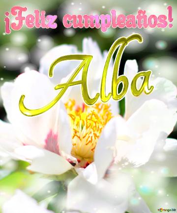 ¡feliz Cumpleaños! Alba  La Belleza Efímera De Las Flores Capturada En Una Imagen