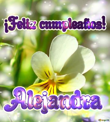 ¡Feliz cumpleaños! Alejandra 