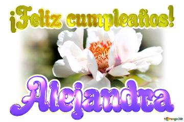 ¡Feliz cumpleaños! Alejandra 