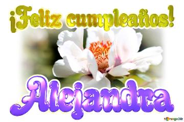 ¡Feliz cumpleaños! Alejandra  Un universo de detalles: la perfección de las flores en primer plano