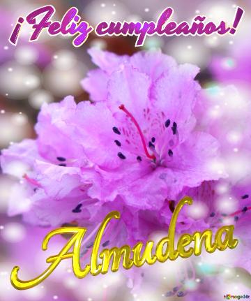 ¡Feliz cumpleaños! Almudena 