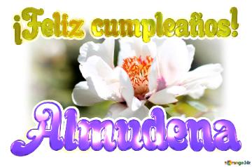 ¡Feliz cumpleaños! Almudena  Un universo de detalles: la perfección de las flores en primer plano