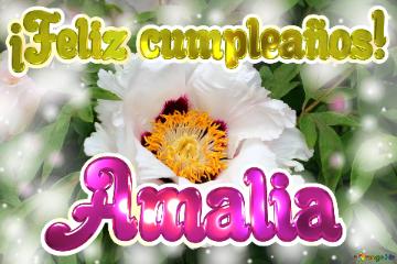 ¡feliz Cumpleaños! Amalia  El Renacer De La Vida: Flores Que Celebran La Resurrección