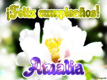 ¡Feliz cumpleaños! Amalia 