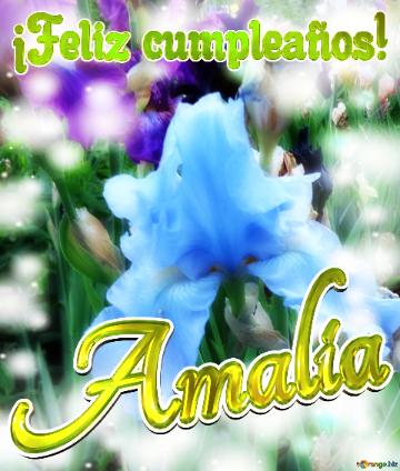¡feliz Cumpleaños! Amalia  La Magia De Los Pequeños Detalles: Flores Que Nos Hacen...