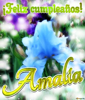 ¡Feliz cumpleaños! Amalia 