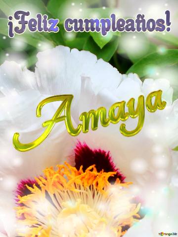 ¡feliz Cumpleaños! Amaya  Flores Para El Alma: Un Bálsamo Para Los Momentos Difíciles