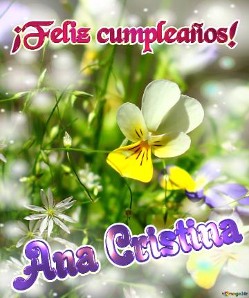 ¡Feliz cumpleaños! Ana Cristina 