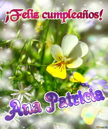 ¡feliz Cumpleaños! Ana Patricia  Naturaleza En Flor