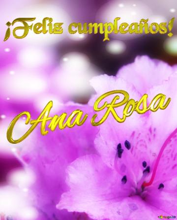 ¡feliz Cumpleaños! Ana Rosa  Flores En Pleno Esplendor
