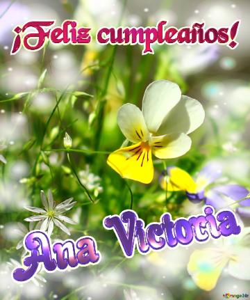¡Feliz cumpleaños! Ana Victoria 