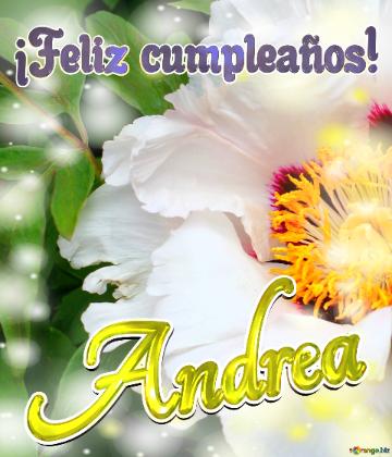 ¡Feliz cumpleaños! Andrea 