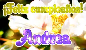 ¡feliz Cumpleaños! Andrea  Un Jardín De Ensueño: Flores Que Te Llevan A Otro Mundo