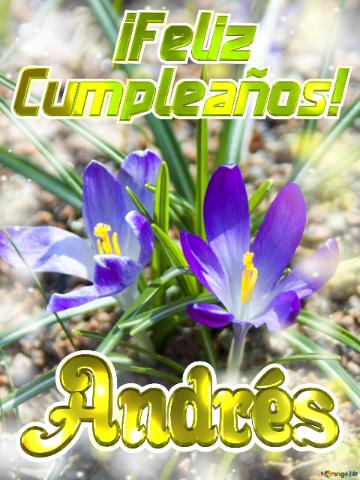      ¡feliz  Cumpleaños! Andrés  Flores Vibrantes
